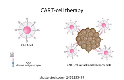 Terapia con células T CAR. Células T receptoras de antígeno quimérico, células T CAR, para uso en inmunoterapia. La ingeniería genética. Quimioterapia, Ilustración vectorial.