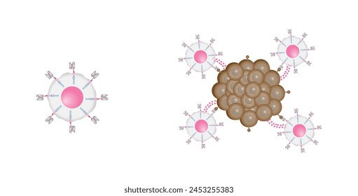 Terapia con células T CAR. Células T receptoras de antígeno quimérico, células T CAR, para uso en inmunoterapia. La ingeniería genética. Quimioterapia, Ilustración vectorial.