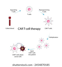 Terapia con células T CAR. Célula T receptora de antígeno quimérico, célula T CAR, para uso en inmunoterapia. La ingeniería genética. Quimioterapia, Ilustración vectorial.
