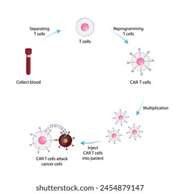 Terapia con células T CAR. Célula T receptora de antígeno quimérico, célula T CAR, para uso en inmunoterapia. La ingeniería genética. Quimioterapia, Ilustración vectorial.