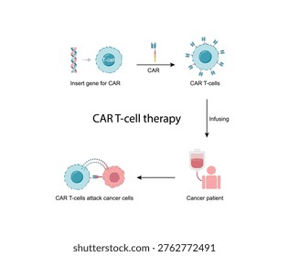 CAR T-cell therapy, killing of tumor cells. Cancer therapy. Chimeric antigen receptor T cell ,CAR T cell, for use in immunotherapy. Genetic engineering. Chemotherapy. Vector illustration.