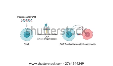 CAR T-cell therapy, killing of tumor cells. Cancer therapy. Chimeric antigen receptor T cell ,CAR T cell, for use in immunotherapy. Genetic engineering. Chemotherapy. Vector illustration.