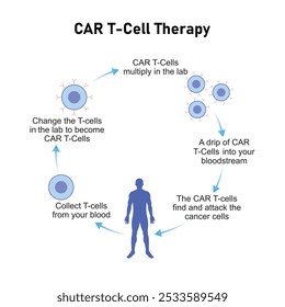 CAR T-Zelltherapie Wissenschaftliches Design. Vektorgrafik.