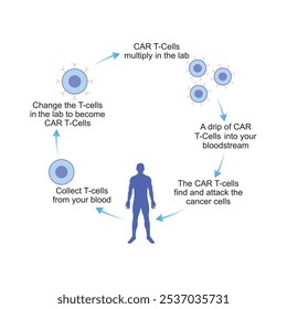 CAR T-Zelltherapie Wissenschaftliches Design. Vektorgrafik.