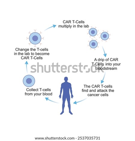 CAR T-cell Therapy Scientific Design. Vector Illustration.