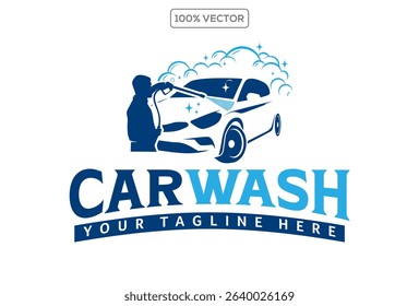 Car wash and detailing logo design template