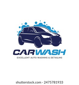 Car Wash and Detailing Logo Vector