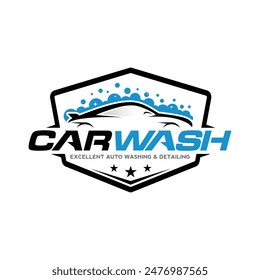 Car Wash and Detailing Logo Vector