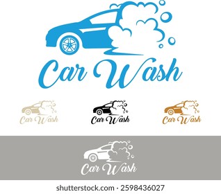 Car Wash Logo Design template