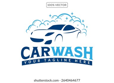 Car wash logo vector design template illustration stock element