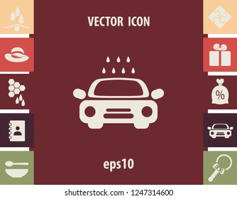 Car washing, vector icon