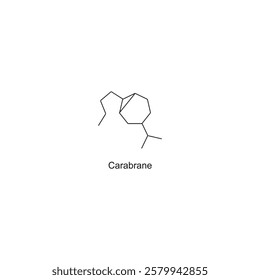 Carabrane skeletal structure.Sesquiterpene compound schematic illustration. Simple diagram, chemical structure.