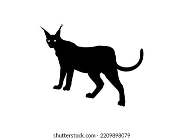 Caracal Cat Silhouette for Art Illustration, Logo, Pictogram, Website or Graphic Design Element. Vector Illustration