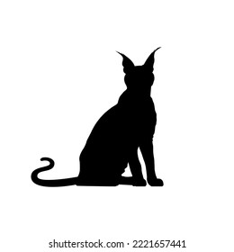 Caracal Cat Silhouette for Art Illustration, Logo, Pictogram, Website or Graphic Design Element. Vector Illustration