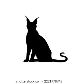 Caracal Cat Silhouette for Art Illustration, Logo, Pictogram, Website or Graphic Design Element. Vector Illustration