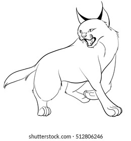 Cara-cal cat sketch vector