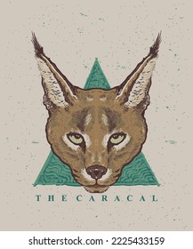 Caracal cat vintage style illustration