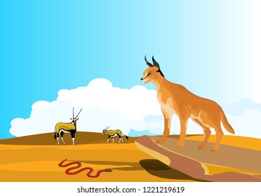 Caracal desert lynx  in desert, vector nature wildlife scene.