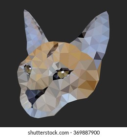Caracal face portrait polygon effect, big wild cat, vector