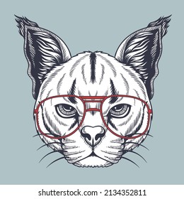 Caracal wild cat hand drawn wearing a red glasses for your company or brand