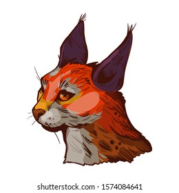 Caracal wild cat isolated vector illustration. Hand drawn color aracal caracal sketch animal. Medium-sized wild cat. Caracal caracal with tufted ears. Hunting season, wildlife feline portrait