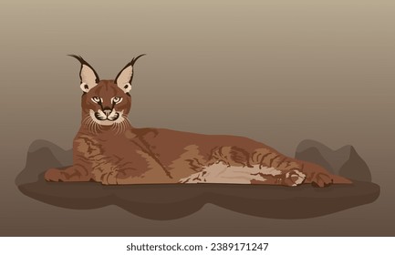 The caracal is a wild but very adorable cat, this cat comes from Africa and can be printed on t-shirts or other media
