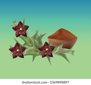 CARALLUMA EXTRACT POWDER VECTOR DESIGN