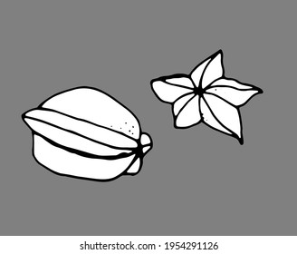 carambola, black and white vector
