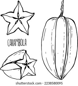 Vector blanco y negro de carambola aislado en un fondo blanco.