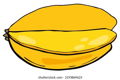 Frutos del carambola. Fondo blanco, aislado. Ilustración vectorial. Alimentos orgánicos, nutrición saludable, productos vegetarianos.	