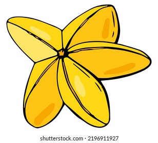 Frutos del carambola. Fondo blanco, aislado. Ilustración vectorial. Alimentos orgánicos, nutrición saludable, productos vegetarianos.	