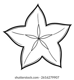 Carambola in section vector illustration in sketch style. Black and white line art of exotic fruit in the shape of a star. For cocktail design.