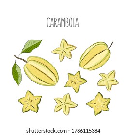 Carambola, star fruit. Whole, slice, leaf. Colorful sketch collection of tropical fruits isolated on white background. Doodle hand drawn fruit icons. Vector illustration