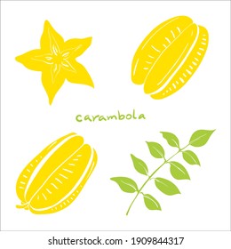 Carambola, star fruit. Whole, slice, leaf. Colorful sketch collection of tropical fruits isolated on white background. Doodle hand drawn fruit icons. Vector illustration