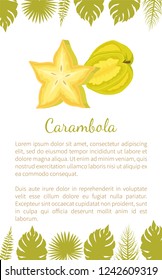 Carambola or starfruit exotic fruit vector poster with text sample and palm leaves. Tropical edible food, dieting vegetarian icon full of vitamins