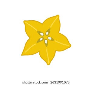 Carambola starfruit five-corner tropical exotic fruit slice. Vector hand-drawn illustration, isolated on white background.