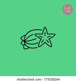 carambola starfruit line icon