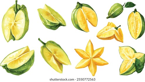 Carambola or Starfruit are whole fruits and slices, a set of tropical fruits, watercolor painting on a white background isolated watercolor vector set