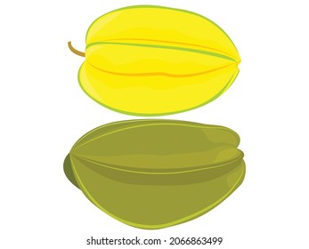 Carambola or starfuit vector illustration, ripe and unripe starfruit, sliced starfruit