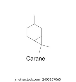 Carane skeletal structure diagram.Monoterpene ketone compound molecule scientific illustration on white background.