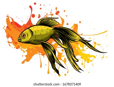 Goldenfish Images Stock Photos Vectors Shutterstock
