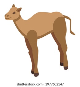 Caravan camel icon. Isometric of Caravan camel vector icon for web design isolated on white background