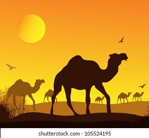 caravan of camels in Africa, vector image design