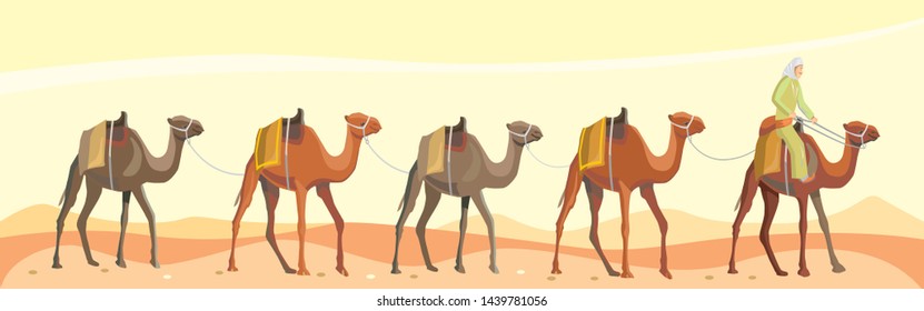 caravan camels with bedouin in the desert