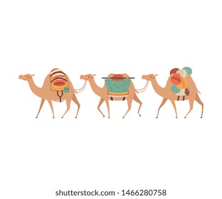 Caravan of Camels, Desert Animals Walking with Heavy Load, Side View Vector Illustration