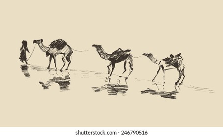 Caravan with camels in desert, hand drawn vector illustration, sketch