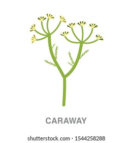 Caraway flat icon on white transparent background. You can be used caraway icon for several purposes.