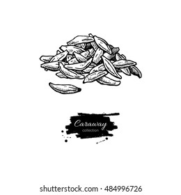 Caraway seed heap vector hand drawn illustration. Isolated spice object. Engraved style seasoning. Detailed organic product sketch. Cooking flavor ingredient. Great for label, sign, icon