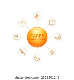 Carboidrato ou carboidratos laranja de farinha, açúcar e fibra alimentar. É a principal fonte de energia do corpo. Para produtos nutricionais suplementos alimentares saúde. Nutrientes essenciais para o intestino. Vetor.