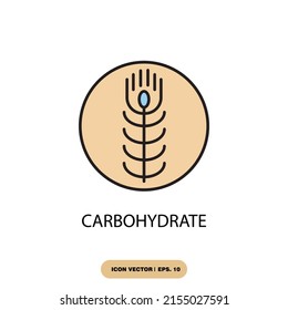 Carbohydrate Icons Symbol Vector Elements Infographic Stock Vector ...